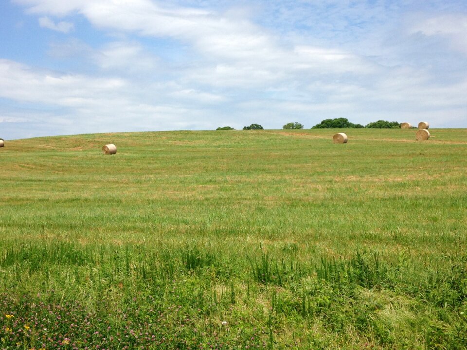 Agriculture crop sky photo