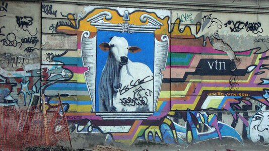 Wall painting facade