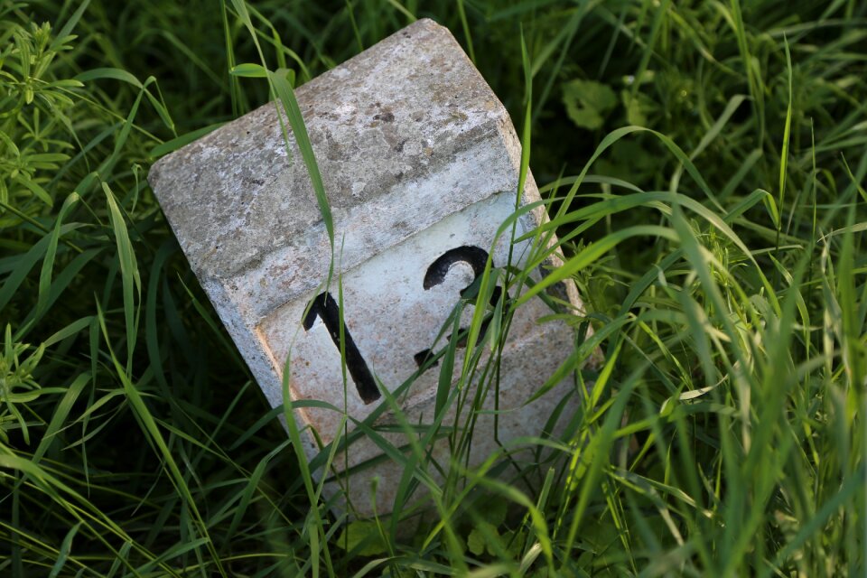 Route grass concrete