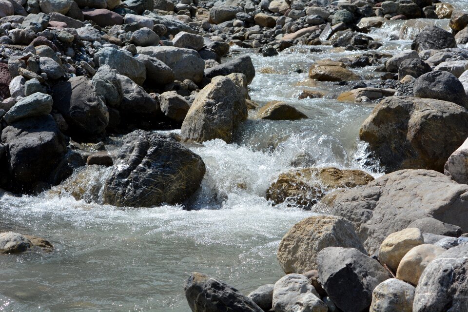 Stream bed nature close up