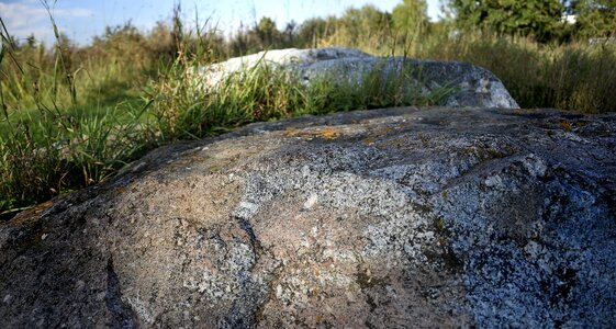 Grass natural stones rocks