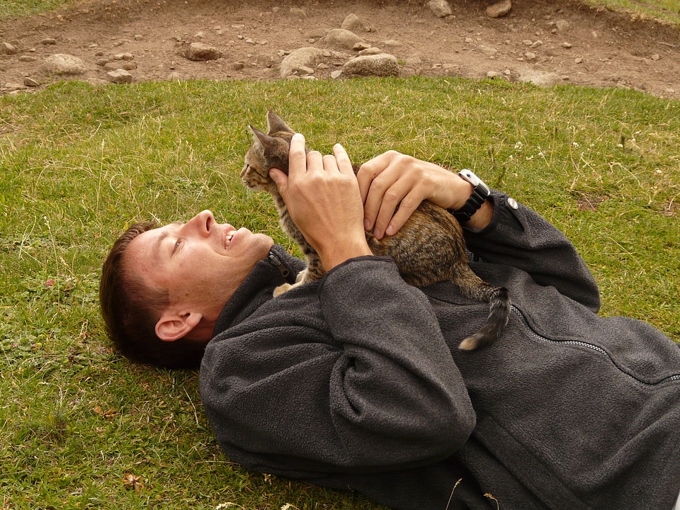 Concerns relax purr