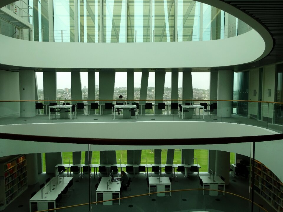 Modern interior green library