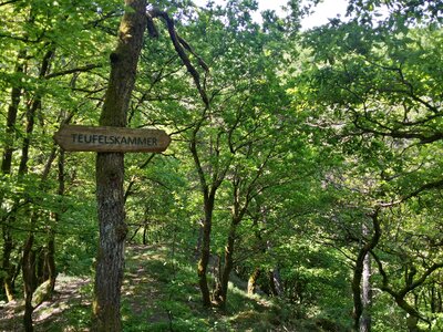 Eifel pyrmonter rock climbing