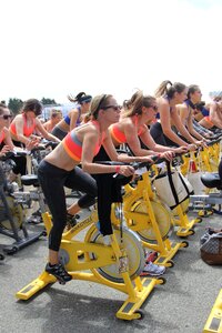 Spin cycle fitness