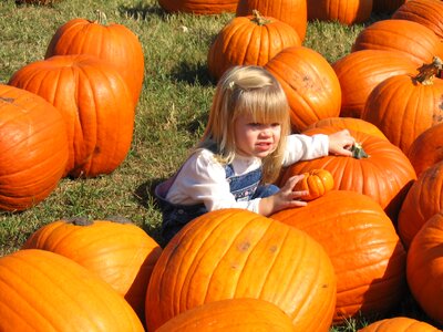 Fall harvest farm