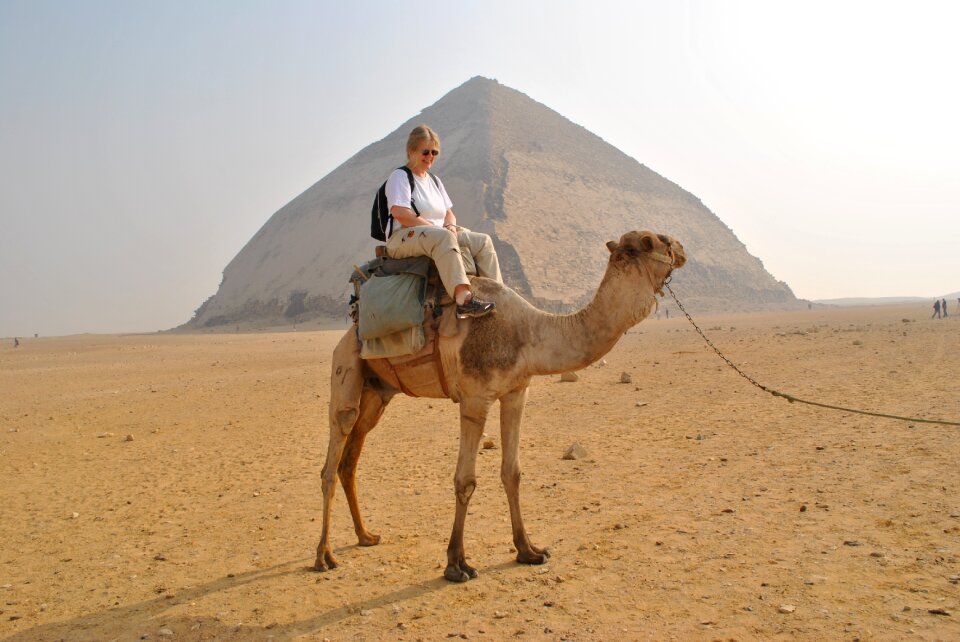 Camel pyramids tourist information