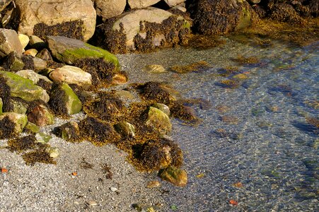 Landscape stones clear water