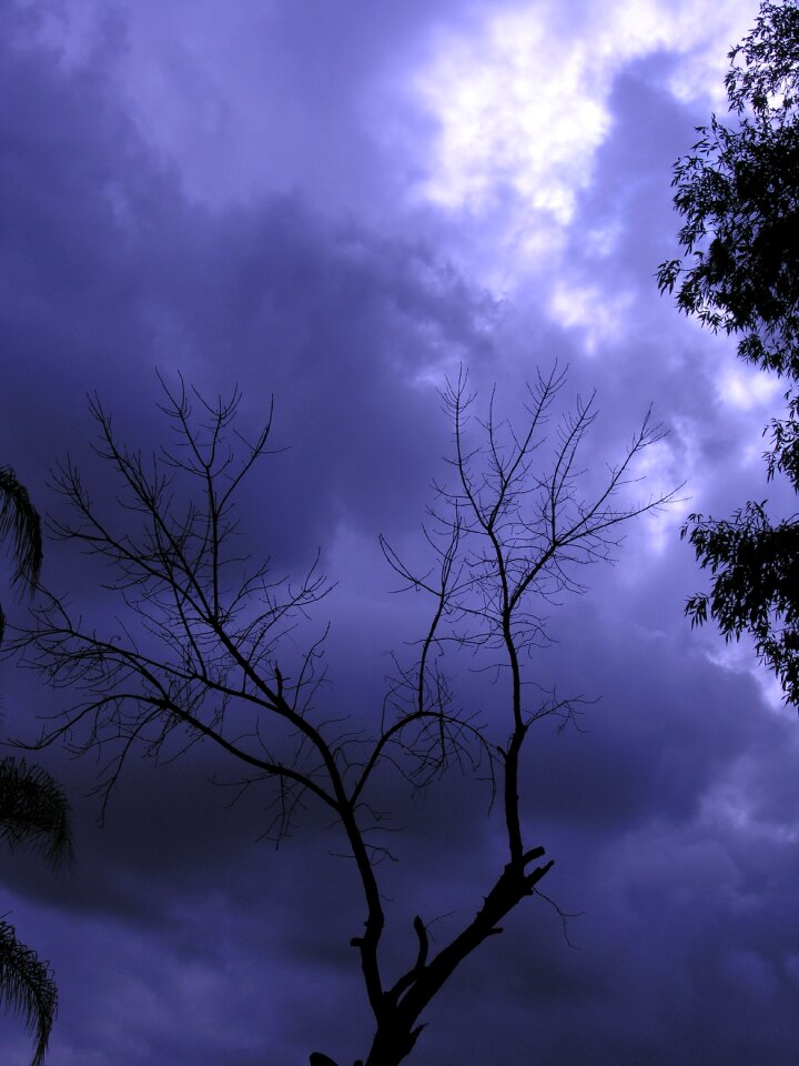 Nature season scene