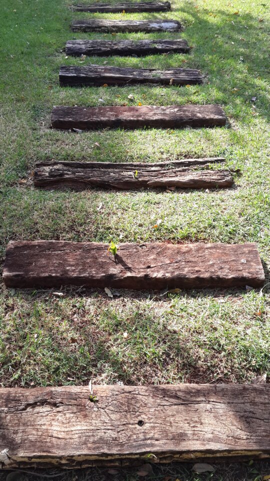 Path logs grass