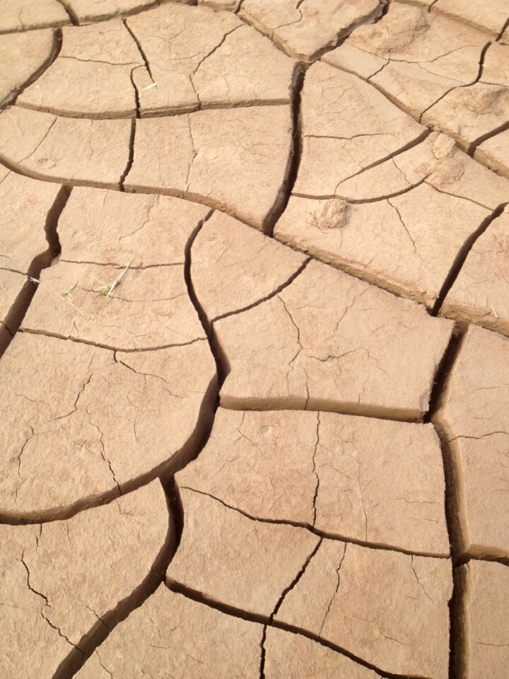 Cracking shriveled crack