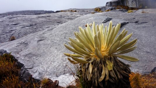 Altitude landscape mountain photo