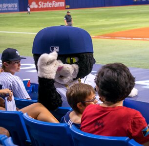 Mascot florida tampa bay