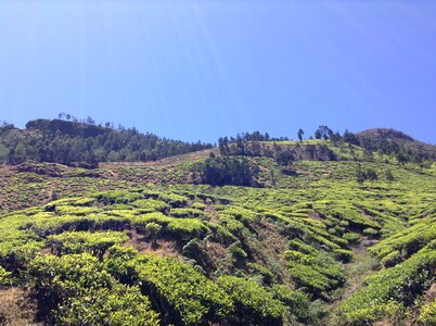 Nature agriculture hill photo