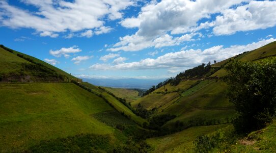 Field green cotopaxi photo