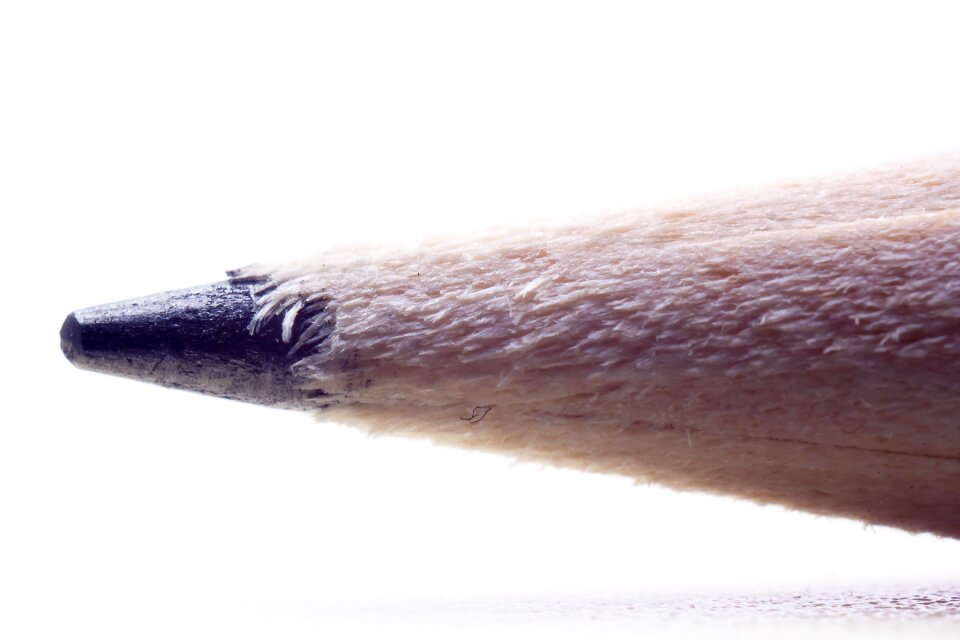 Subject survey wooden pencil tree