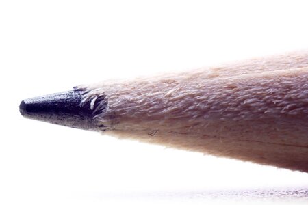 Subject survey wooden pencil tree