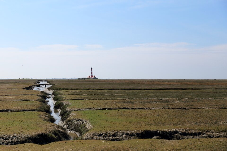 Lighthouse westerhever salt meadow