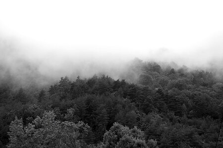 Nature landscape mist