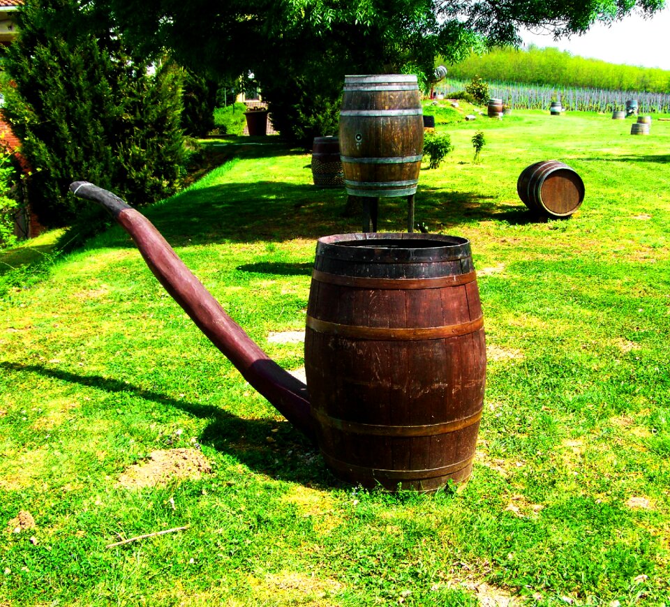 Check form vylian winery kisharsány