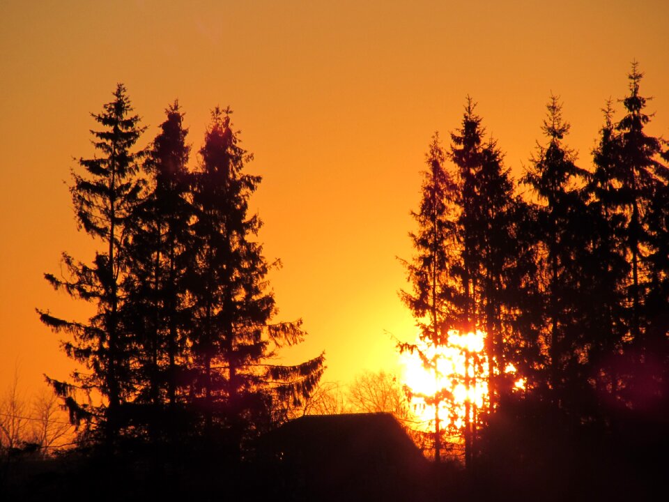 Silhouette nature sun