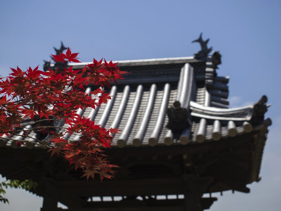 Temple travel tradition
