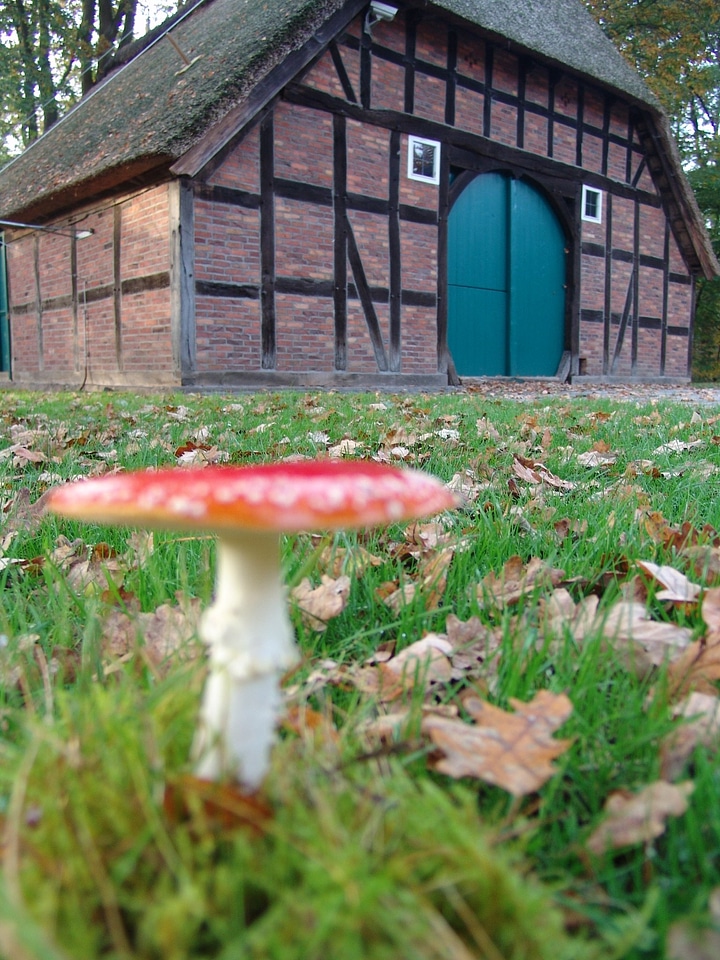Nature autumn fachwerkhaus