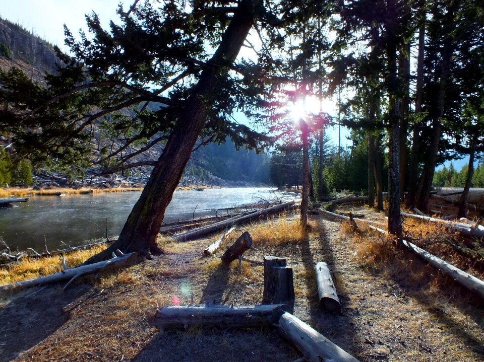 Sunlight nature