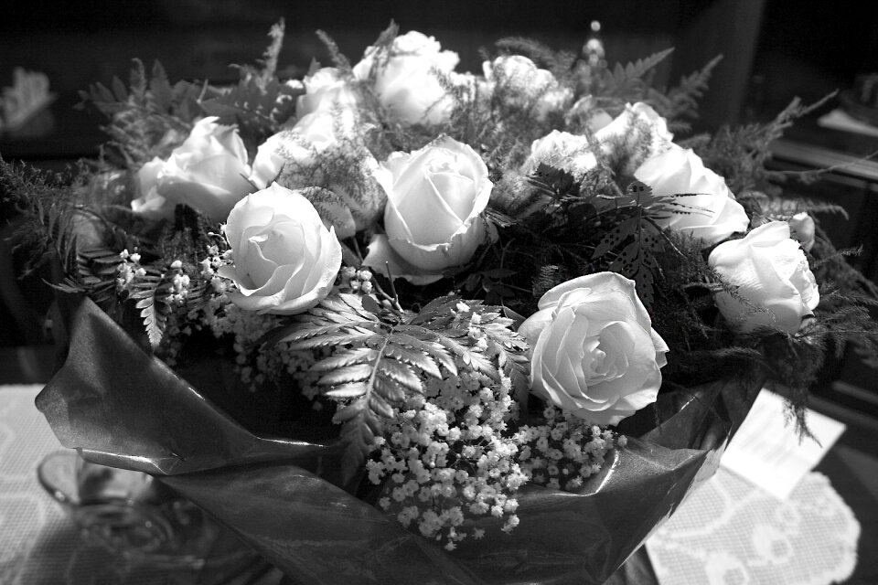 Floral nature white