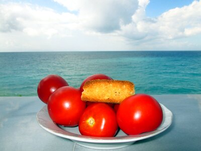 Tomatoes white bread sea photo