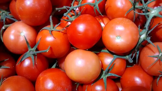 Tomatoes fruit red
