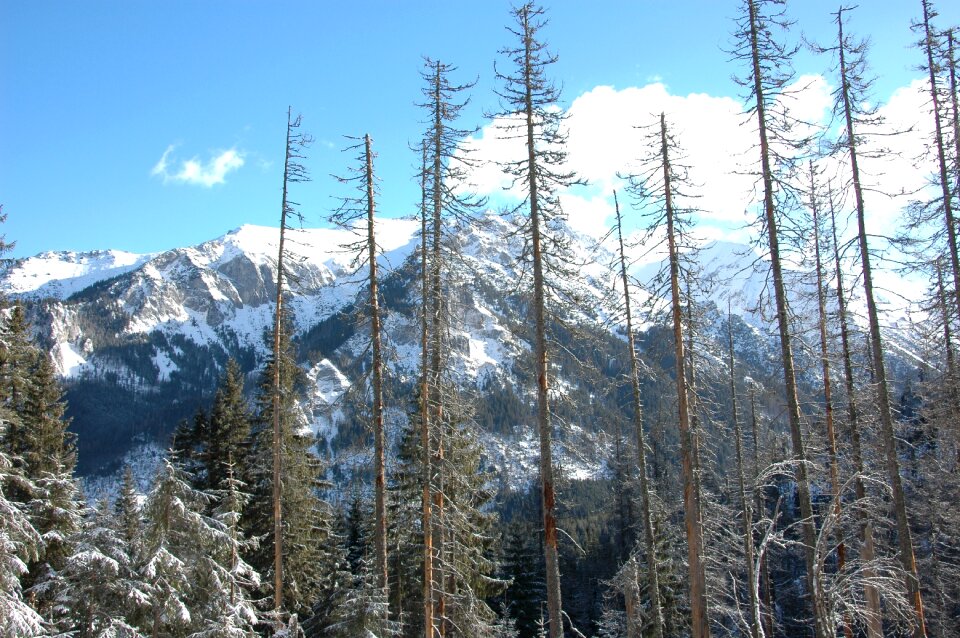 Tatry winter mountains