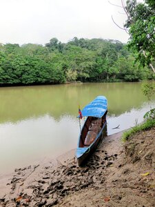 Canoe amazonie rio-napo photo