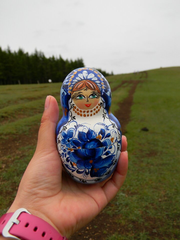 The scenery prairie inner mongolia