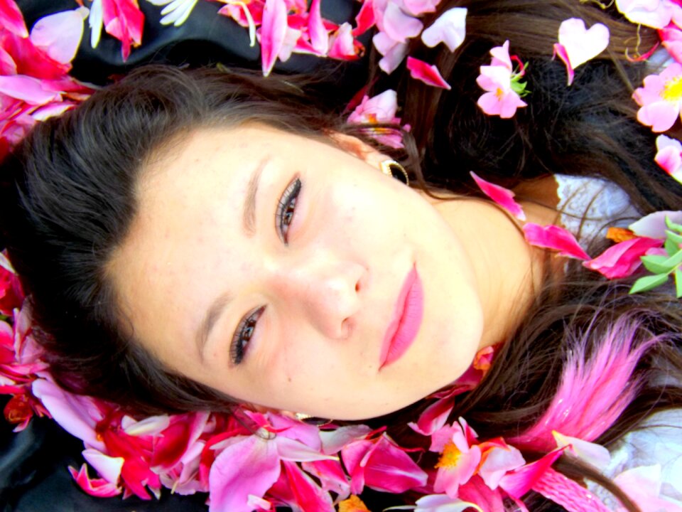 Petals pink beauty