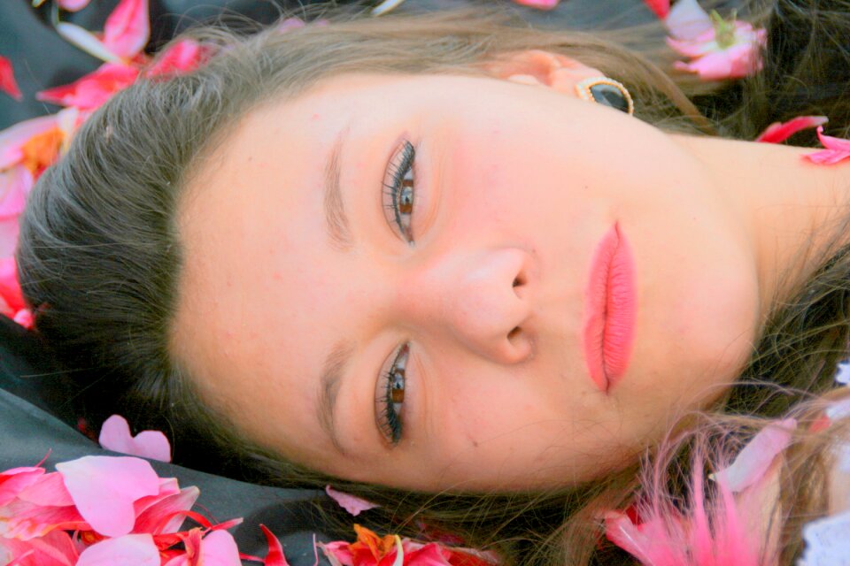 Petals pink beauty