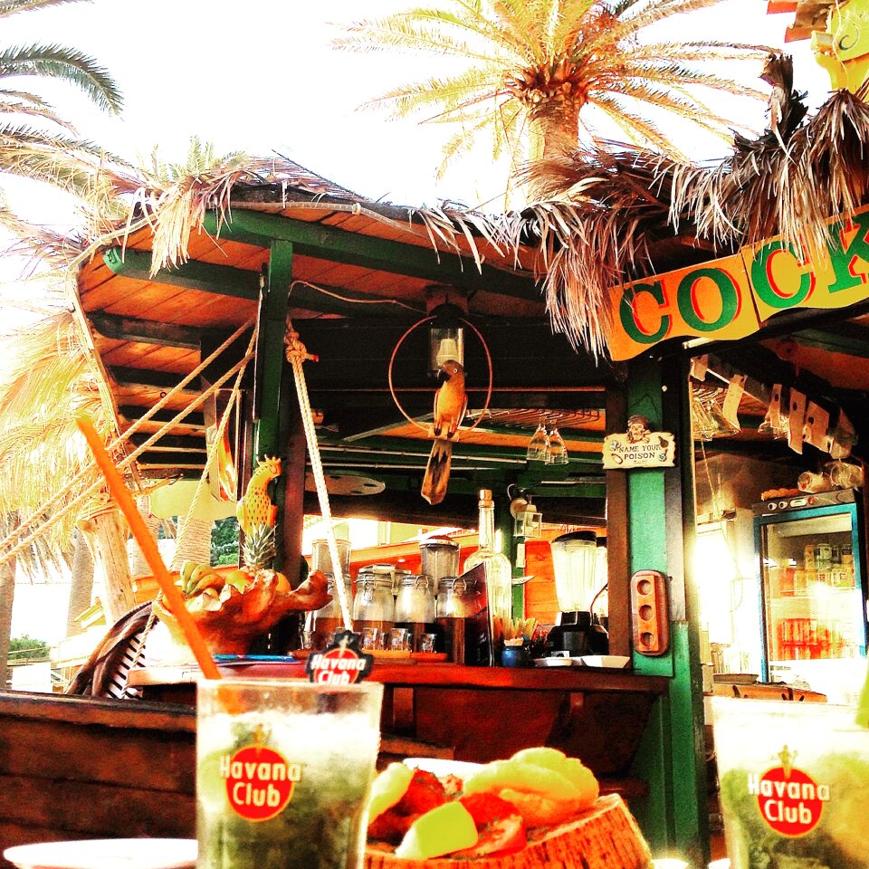 Sand palm trees mojito