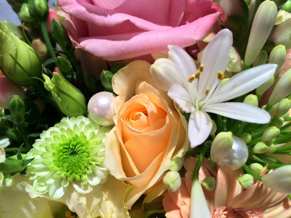 Bouquet wedding bouquet rose