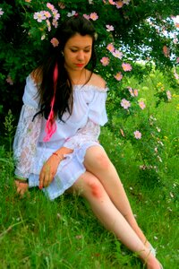 Wild rose beauty nature