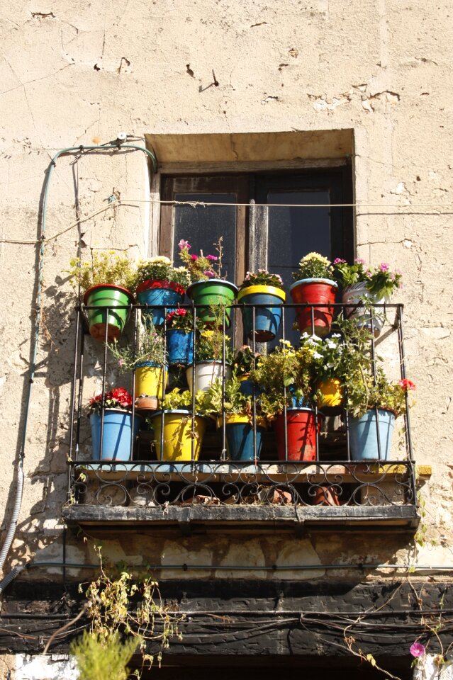 Colors balcony flowers