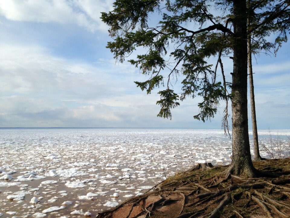 Water shore landscape