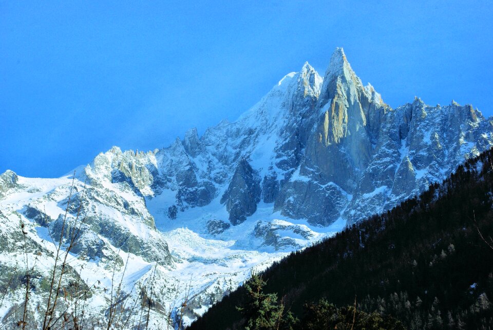 The wiry needle-green chamonix photo