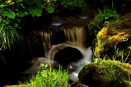South bohemia šumava flowing