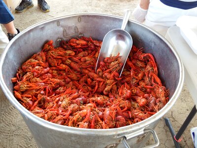 Crayfish seafood red photo