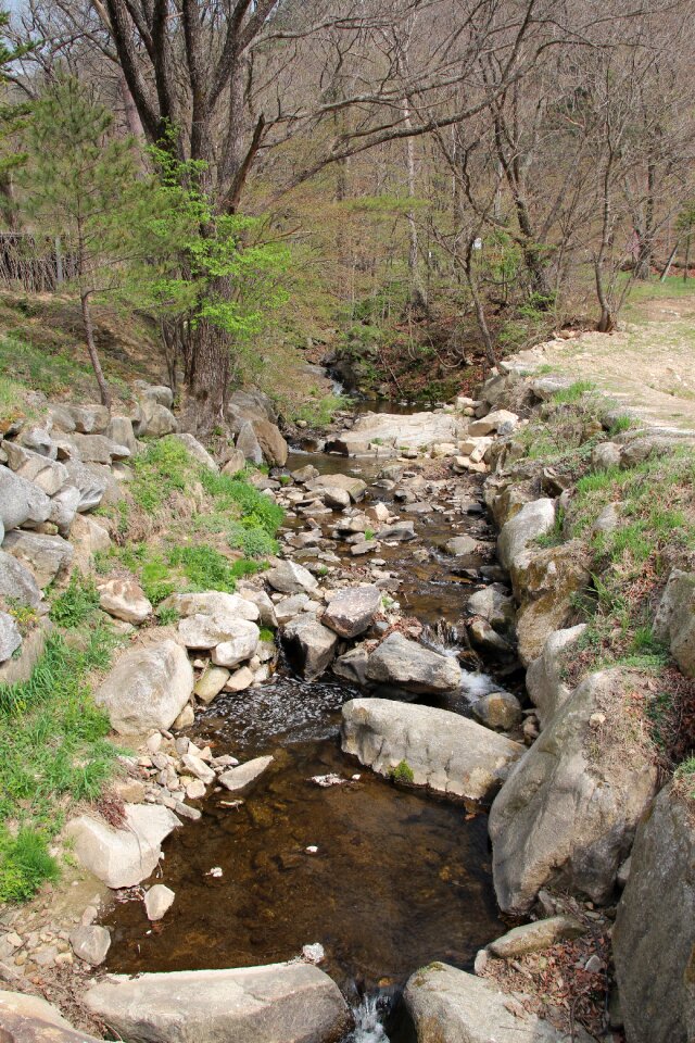 Spring streams country