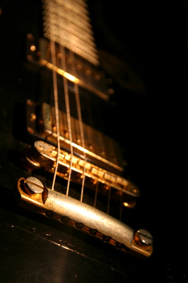 Close up strings stringed instrument