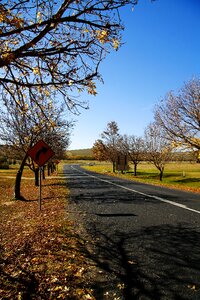Autumn road tabitha