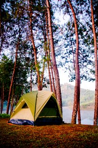 Camping adventure forest