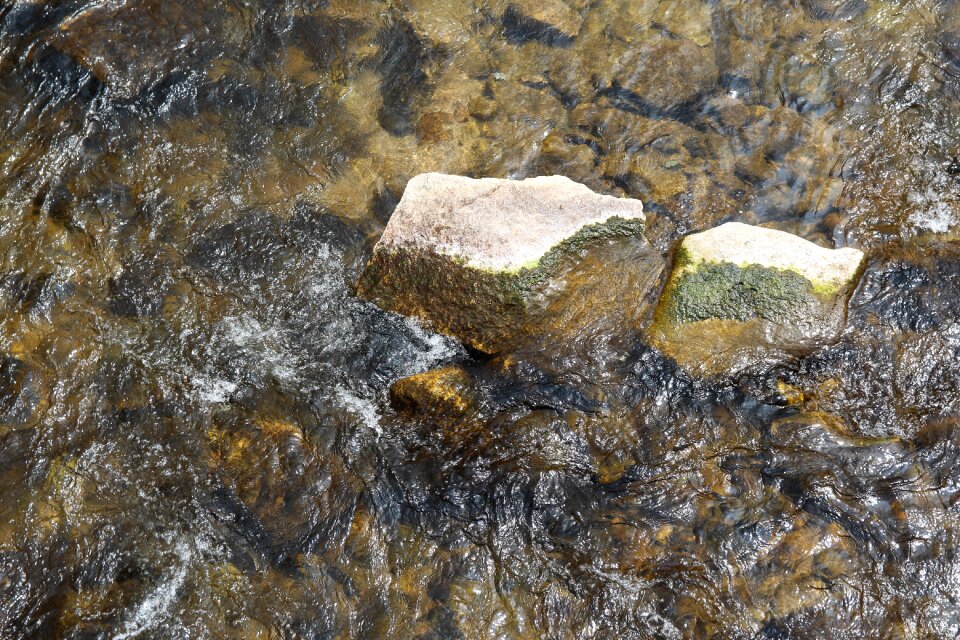 Stone moss wave