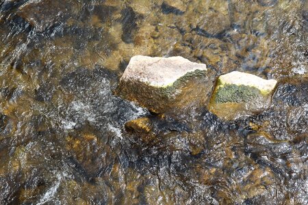 Stone moss wave
